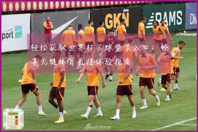 轻松获取世界杯买球登录入口，畅享无缝体育直播体验指南