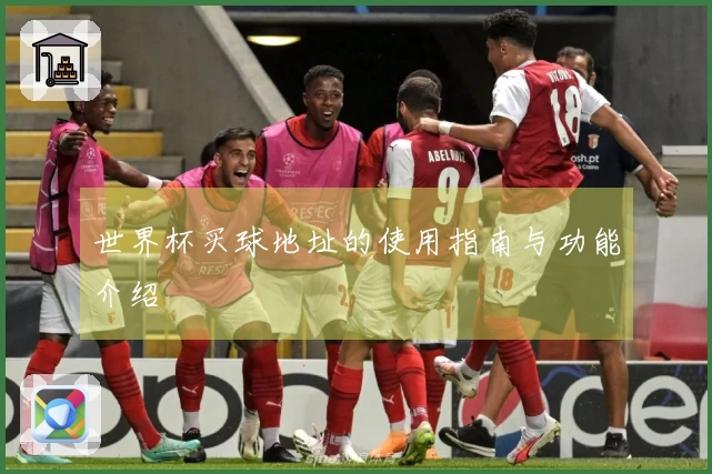 世界杯买球地址的使用指南与功能介绍