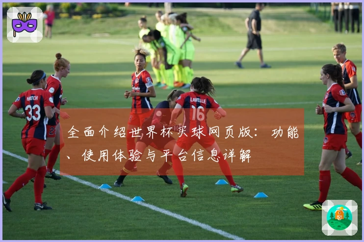 全面介绍世界杯买球网页版：功能、使用体验与平台信息详解