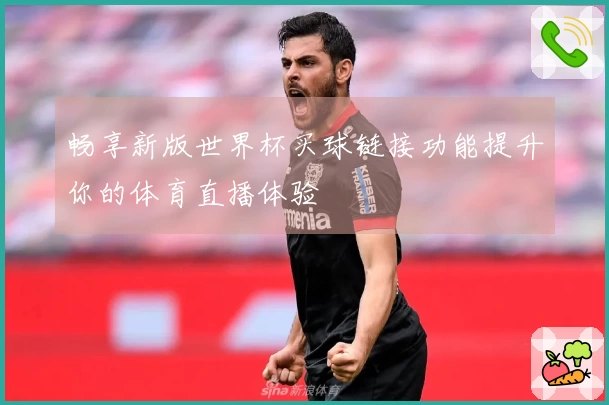 畅享新版世界杯买球链接功能提升你的体育直播体验